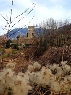 Il Rosone - 4