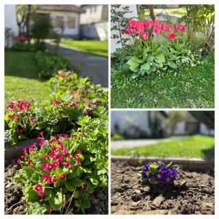 Garden Guesthouse - Gjakove - 9