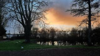 etang de la bibardiere - Allonnes - 4
