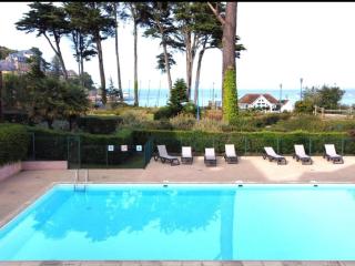 DANS LES BRAS DE NEPTUNE - Plage de TRESTRAOU - Piscine - 4 à 5 personnes - 9