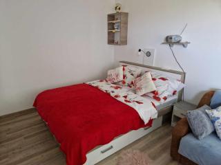 Apartma Petja - Moravske-Toplice - 6
