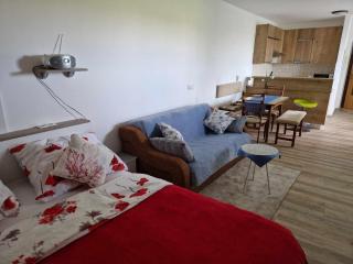 Apartma Petja - Moravske-Toplice - 5