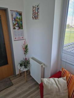 Apartma Petja - Moravske-Toplice - 3