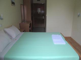Garni hotel Alma - Pirot - 2