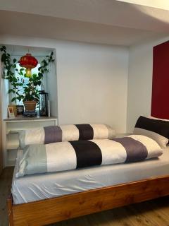 Homestay - Waldshut-Tiengen - 9