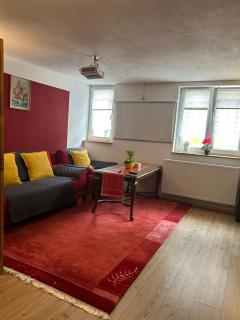Homestay - Waldshut-Tiengen - 4