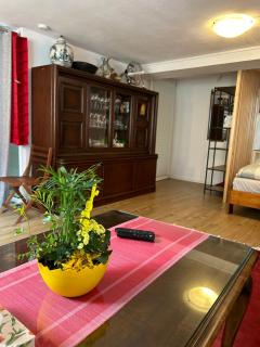 Homestay - Waldshut-Tiengen - 6