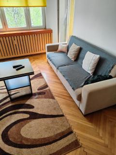 Całe mieszkanie 2 pokojowe na wyłączność centrum Częstochowy, bardzo blisko Jasnej Góry, 2 duże łóżka - Częstochowa - 1
