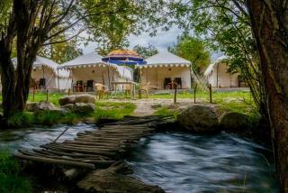 Royal Deluxe Camp & Resort, Hunder- Nubra - Nubra - 3