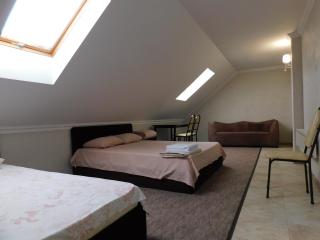 Hotel & Banquet Hall SV Airport Parkway - Todireşti - 9
