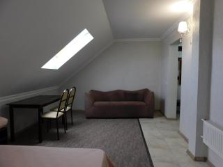 Hotel & Banquet Hall SV Airport Parkway - Todireşti - 8