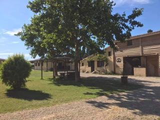 Gîte équestre en Provence aux pieds des Alpilles - Maillane - 8