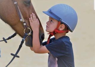 Gîte équestre en Provence aux pieds des Alpilles - 9