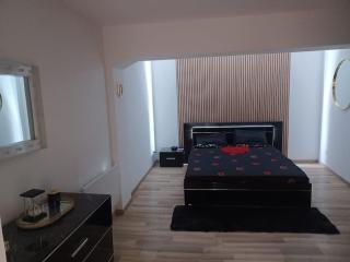 Appartement Jacuzzi /billard - Voiron - 3