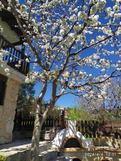 House in the Forest - 9