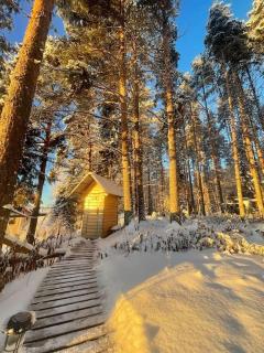 the off grid wilderness cabins - Norsjö - 1