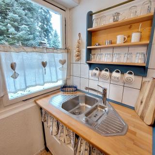 Ruhig gelegener Ferienbungalow mit Terrasse und Garten am Waldrand - Bad Elster - 1