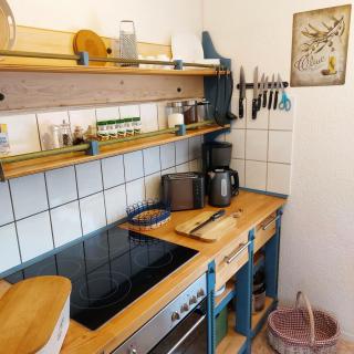 Ruhig gelegener Ferienbungalow mit Terrasse und Garten am Waldrand - Bad Elster - 2