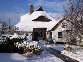 Nette Wohnung in Althagen mit Terrasse - Ahrenshoop - 9