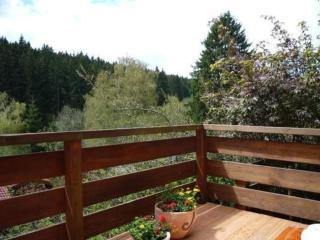 Kleines Ferienhaus mit Garten absolut ruhig Hochschwarzwald - Lenzkirch - 7