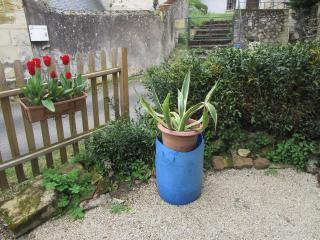 la maisonnette du peu-morier - Vouvray - 2
