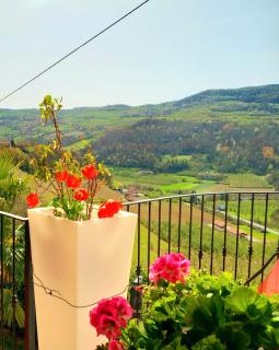 La Maison des Rèves -Langhe Piemonte - Torre Bormida - 5