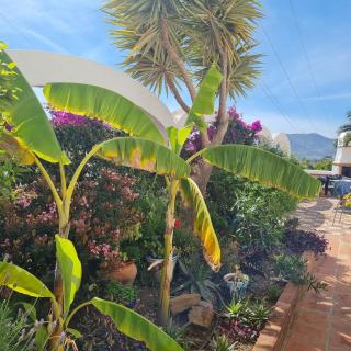 Casa Jazmin - 5