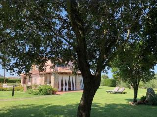 Villa Mariachiara - L'oasi verde - San Pantaleo - 9