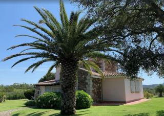 Villa Mariachiara - L'oasi verde - San Pantaleo - 1