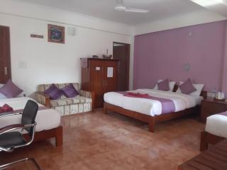 Blue Planet Lodge & Restaurant - Pokhara - 0