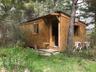 sous les arbres - La Palud-sur-Verdon - 0