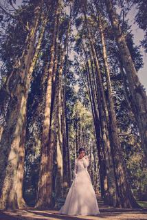 Okoroire Hot Springs Hotel - 1