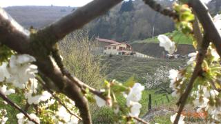 le Mirador - Courzieu - 9