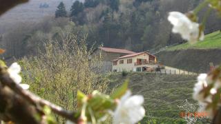 le Mirador - Courzieu - 6