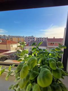Apartman MariLu Split - Split - 4