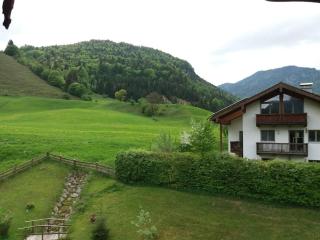 Apartment in den bayerischen Alpen, für Naturliebhaber - Schneizlreuth - 1