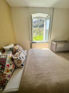 CAN appart spacieux avec grand jardin et terrasse 1 à 8 pers - Granges-sur-Vologne - 7