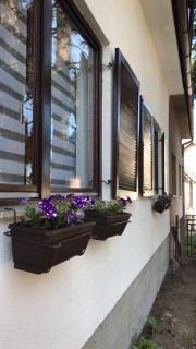 Apartman Mario - 8