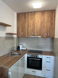 Apartman “Sana” - Banja Koviljača - 7