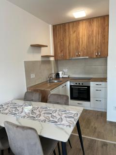 Apartman “Sana” - Banja Koviljača - 2
