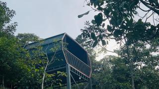 Woodshade Resort - Periya - 7