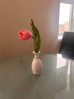 R un S apartment - Ventspils - 1