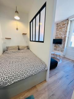 L’appartement lumière - Bourg-en-Bresse - 4