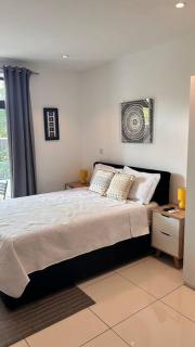 Comffy Cozzy Studio - Embassy Gardens - Cantonments - 7