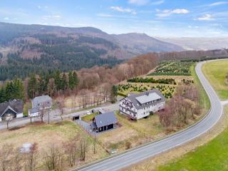 Greenhouse Living Apartment Fagus mit Terrasse und Feuerstelle - 6 Minuten nach Winterberg - 4 Minuten zur Ruhrquelle - Wandern - Mountainbike fahren - Reisen mit Hund & Natur genießen - Medebach - 1