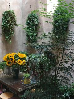 Triplex avec terrasse, aux pieds de la cathédrale, 5 personnes - Strasburgo - 8