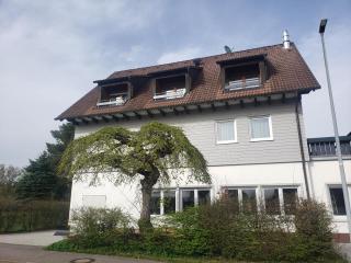 Alter Hirsch - Pfalzgrafenweiler - 6