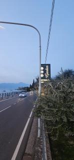 Hotel Garden - Torri del Benaco - 2