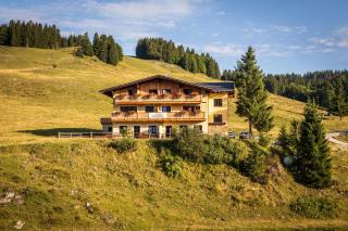 Almhaus Alpenrose Postalm - Seidegg - 0