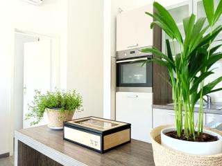 Apartment Ante - Hvar - 3